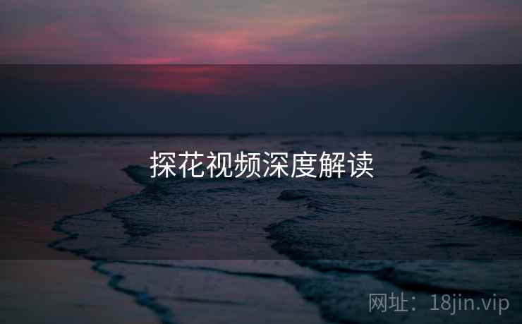探花视频深度解读