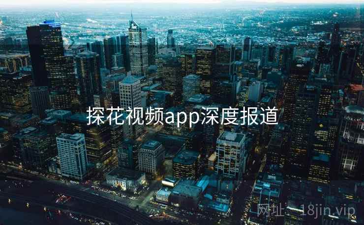 探花视频app深度报道