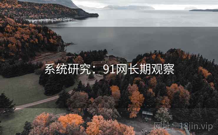 系统研究：91网长期观察