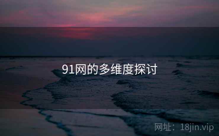 91网的多维度探讨