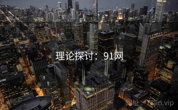 理论探讨：91网