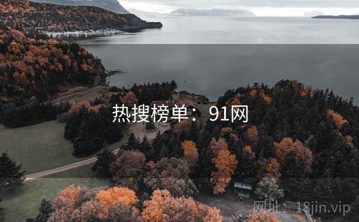 热搜榜单：91网  第1张