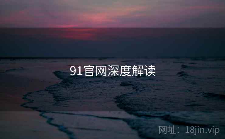 91官网深度解读